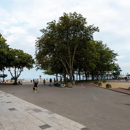 Skwer Kosciuszki 2024