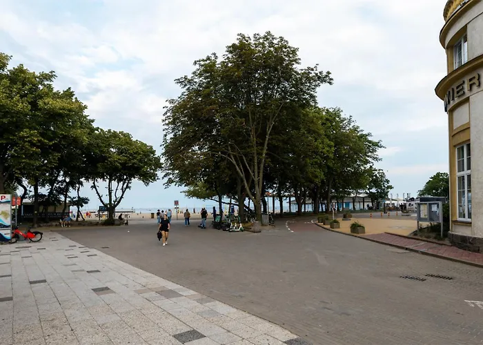 Skwer Kosciuszki 2024